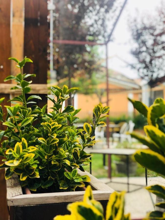 Dolce Nera B&B Narni Scalo Luaran gambar